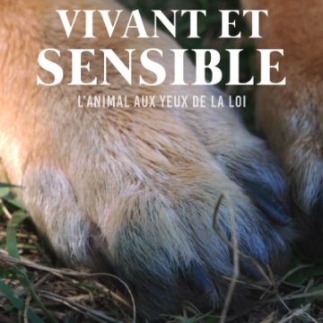 Affiche - Vivant et sensible : L'Animal aux yeux de la loi